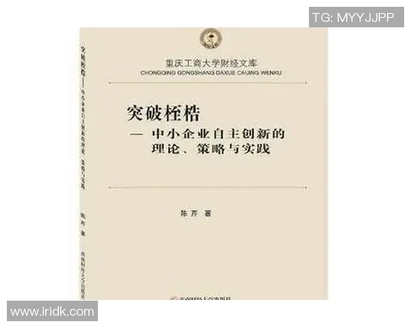 西安篮球队战术解析:构建高效控制体系的策略与实践